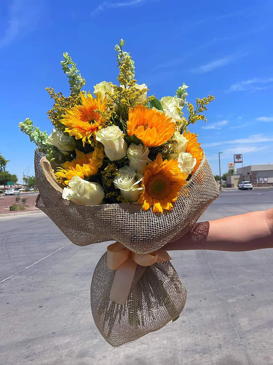 “Encanto Silvestre”